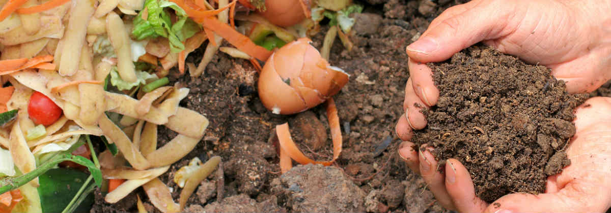 How To Compost 
